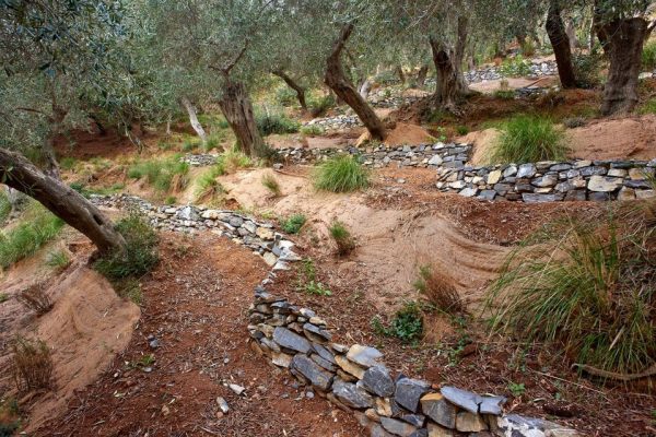 Nature-based Solutions per la mitigazione del rischio meteo-idrologico: Applicazioni e prospettive.