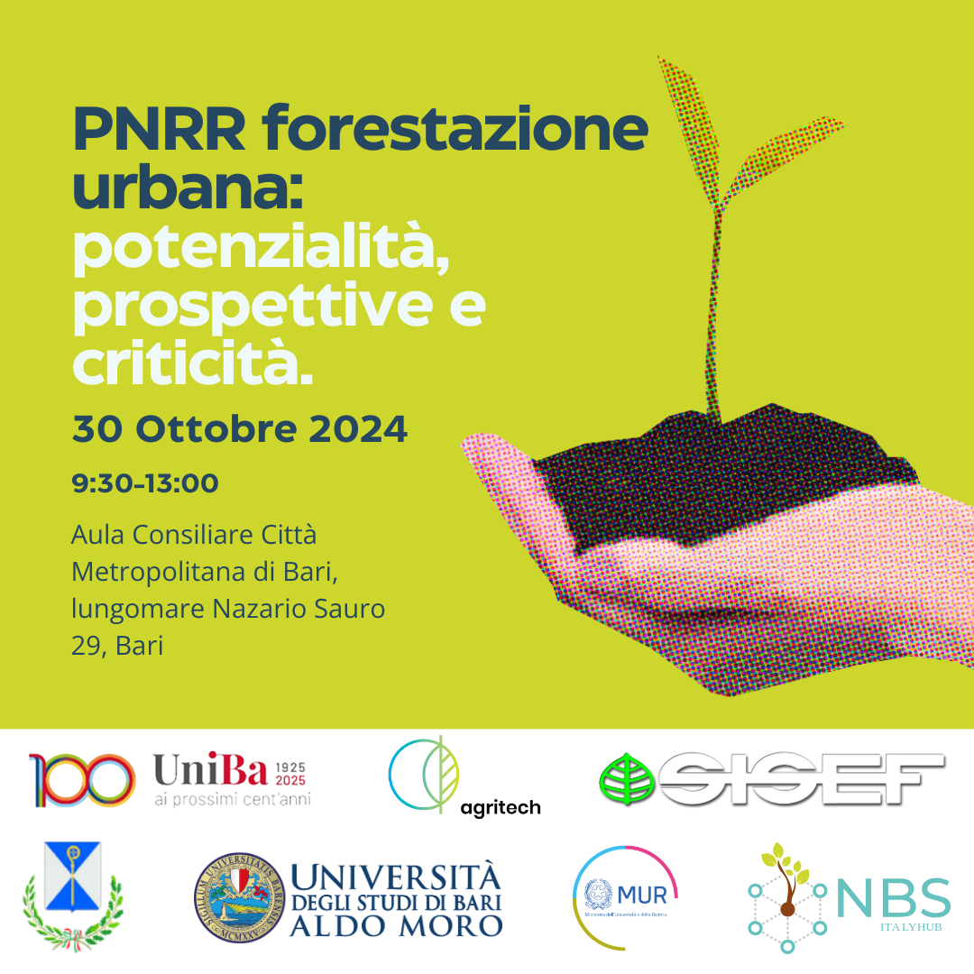 PNRR forestazione urbana: potenzialità, prospettive e criticità