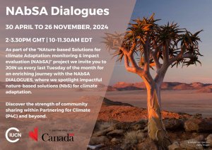 NAbSA Dialogues : Financing NbS