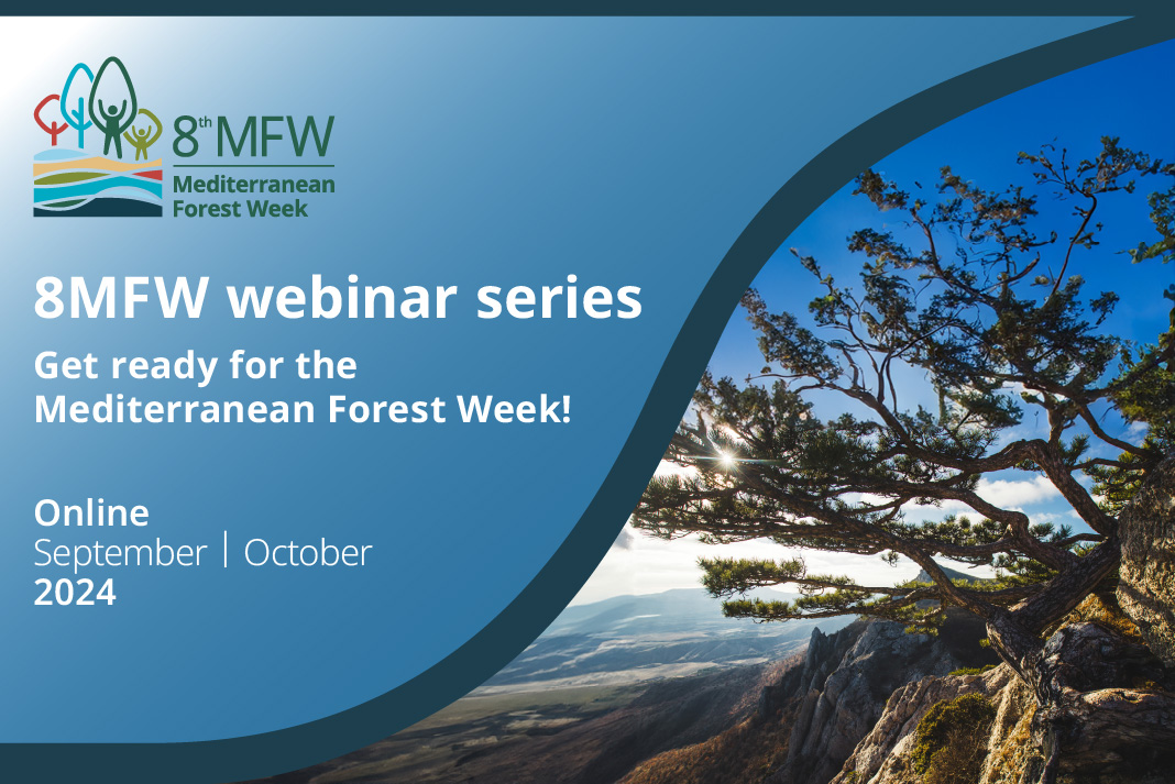 Innovative approaches to forest conservation: bridging science, practice and communication - Webinar