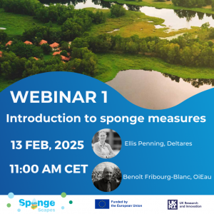 Introduction to Sponge Measures | SpongeScapes Webinar